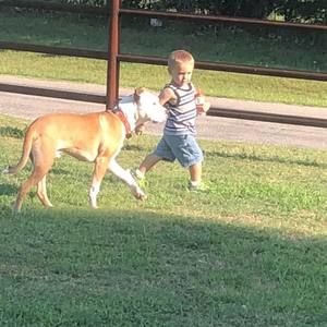 Meet your Posher, Mark